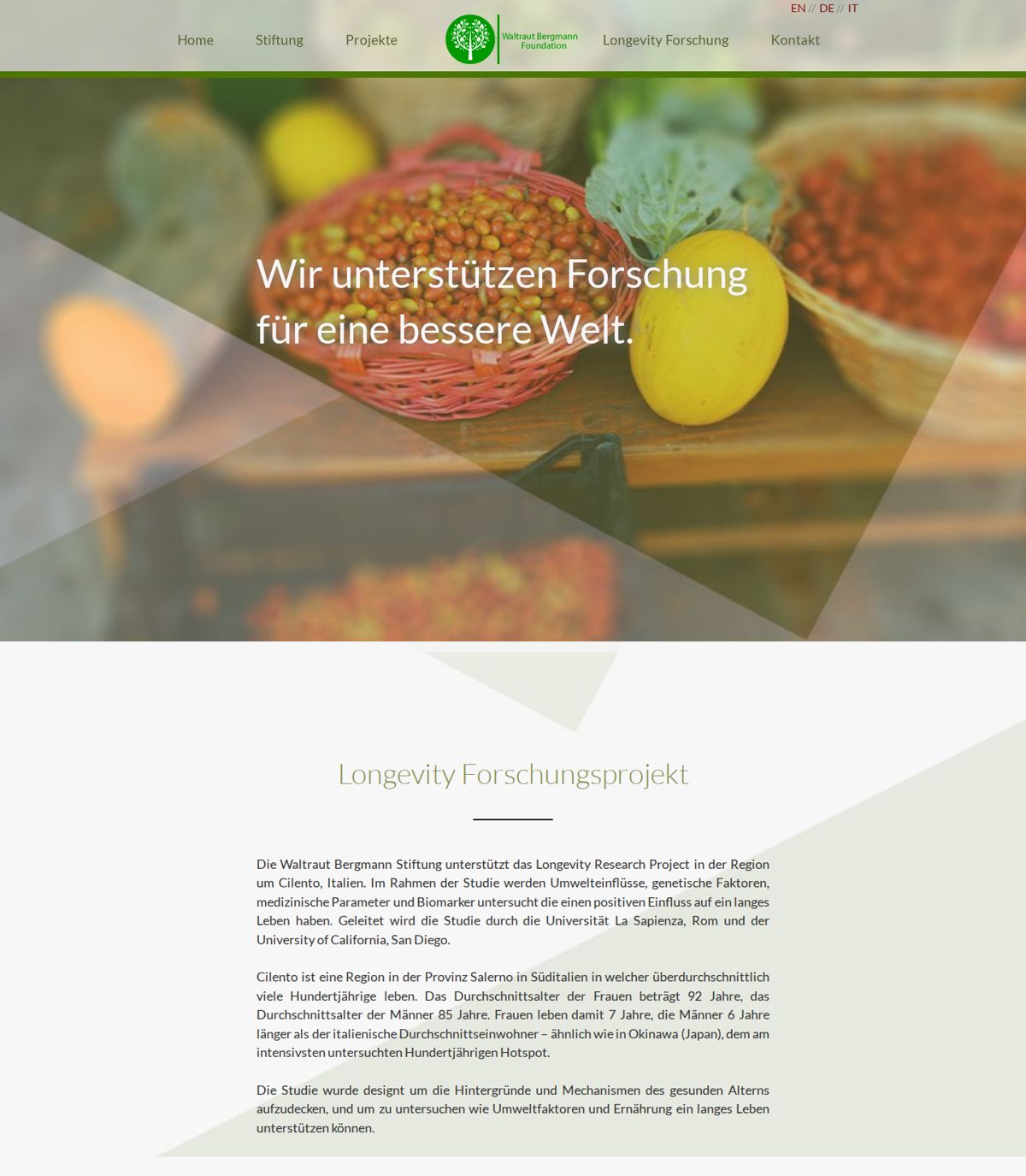 Die bisherige Startseite: Navigation mit Logo in der Mitte, Überschrift auf einem Foto mit Obstkörben, darunter zentrierter Text.